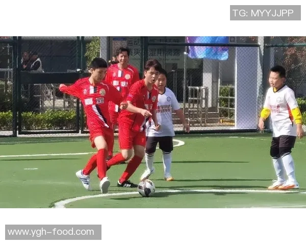 来吧冠军足球明星展现激情与梦想的绿茵场传奇之旅