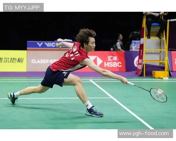 深圳羽毛球队与西安羽毛球队赛后复盘战术分析及表现评估