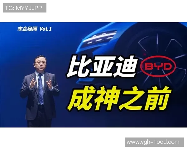 深圳篮球队逆袭之路揭秘从低谷到巅峰的奋斗与坚持