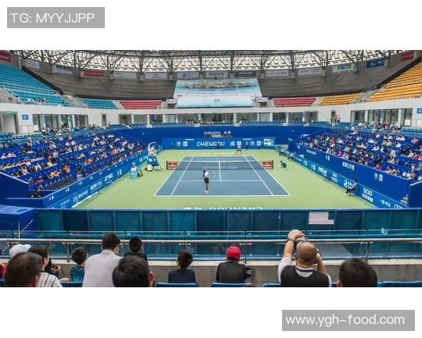 成都网球队荣登全国网球意识排行榜第十名引发热议